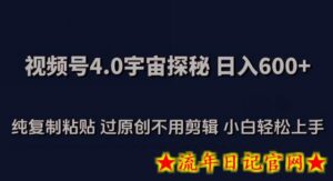视频号4.0宇宙探秘,日入600多纯复制粘贴过原创不用剪辑小白轻松操作-流年日记