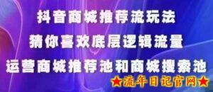 抖音商城运营课程，猜你喜欢入池商城搜索商城推荐人群标签覆盖-流年日记