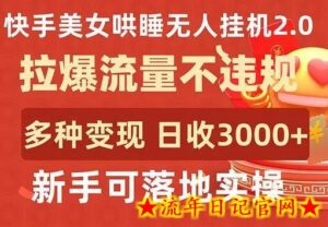 快手美女哄睡无人挂机2.0,拉爆流量不违规,多种变现途径,日收3000+,新手可落地实操-流年日记