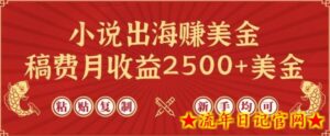 小说出海赚美金，稿费月收益2500+美金，仅需chatgpt粘贴复制，新手也能玩转-流年日记