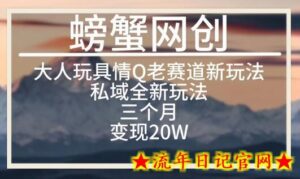 大人玩具情Q用品赛道私域全新玩法,三个月变现20W,老项目新思路-流年日记