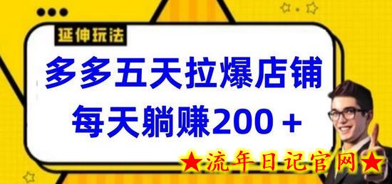 多多五天拉爆店铺，每天躺赚200+-流年日记