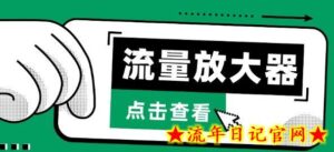 流量放大器,抖音公私域变现+soul私域轰炸器-流年日记