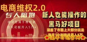 电商维Q4.0 如何做到月入 5 万+每天 1 小时新人也能快速上手-流年日记