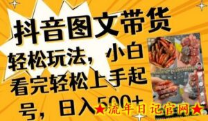 抖音图文带货已过时?那你不如仔细看看这个,小白看完轻松上手起号,日入500+不是梦-流年日记