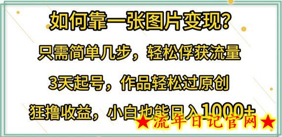 如何靠一张图片变现?只需简单几步，轻松俘获流量，3天起号，作品轻松过原创-流年日记