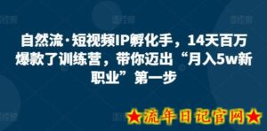 自然流·短视频IP孵化手,14天百万爆款了训练营,带你迈出“月入5w新职业”第一步-流年日记