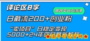 抖音评论区8字日截流200+创业粉 “卖项目”日稳定变现5000+-流年日记