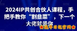 2024IP共创合伙人课程，手把手教你“割韭菜”，下一个大佬就是你-流年日记
