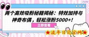 两个高效吸粉秘籍揭秘:特效加持与神奇布偶,轻松涨粉5000+-流年日记