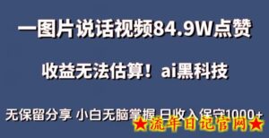 一图片说话视频84.9W点赞，收益无法估算，ai赛道蓝海项目，小白无脑掌握日收入保守1000+-流年日记