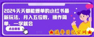 2024天天都能爆单的小红书最新玩法，月入五位数，操作简单，一学就会-流年日记