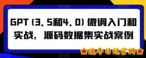 GPT(3.5和4.0)微调入门和实战,源码数据集实战案例-流年日记