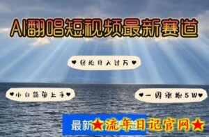 AI翻唱，短视频最新赛道，一周轻松涨粉5W，小白即可上手，轻松月入过万-流年日记