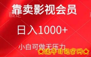 靠卖影视会员，日入1000+，落地保姆级教程，新手可学-流年日记