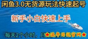 2024最新闲鱼无货源玩法，从0开始小白快手上手，每天2小时月收入过万-流年日记