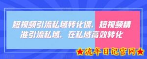 短视频引流私域转化课,短视频精准引流私域,在私域高效转化-流年日记
