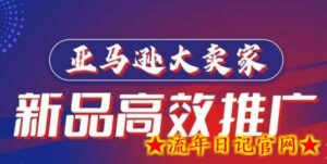 亚马逊大卖家-新品高效推广,分享如何高效推广,打造百万美金爆款单品-流年日记