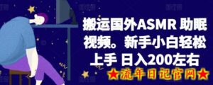 2024搬运国外ASMR 助眠视频,新手小白轻松上手 日入200左右-流年日记