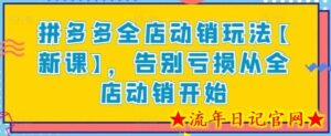 拼多多全店动销玩法【新课】,告别亏损从全店动销开始-流年日记