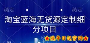 淘宝蓝海无货源定制细分项目,从0到起店实操全流程-流年日记