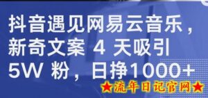 抖音遇见网易云音乐，新奇文案 4 天吸引 5W 粉，日挣1000+-流年日记