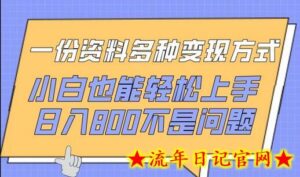 一份资料多种变现方式,小白也能轻松上手,日入800不是问题-流年日记