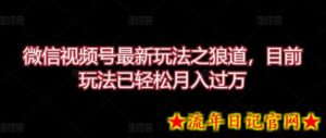 微信视频号最新玩法之狼道,目前玩法已轻松月入过万-流年日记