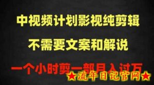 中视频计划影视纯剪辑,不需要文案和解说,一个小时剪一部,100%过原创月入过万-流年日记
