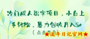 冷门成人识字项目,小白上手轻松,暴力创收月入5w+-流年日记