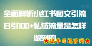 全面解析小红书图文引流日引100+私域流量是怎样做到的-流年日记