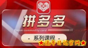 2024拼多多系列课，【基础】【运营】【活动】【推广】【玩法】5大模块-流年日记