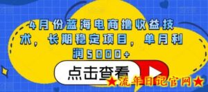4月份蓝海电商撸收益技术,长期稳定项目,单月利润5000+-流年日记