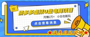 拼多多虚拟U盘电商红利项目:月赚2万+,新手小白也能玩-流年日记