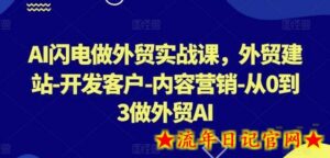 AI闪电做外贸实战课,外贸建站-开发客户-内容营销-从0到3做外贸AI-流年日记