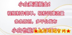 小众赛道掘金,视频制作简单,轻松引爆流量,条条原创,多平台发布-流年日记