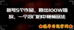新号5个作品,跑出100W播放,一个冷门的中视频玩法-流年日记