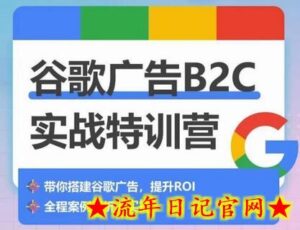 谷歌广告B2C实战特训营，500+谷歌账户总结经验，实战演示如何从0-1搭建广告账户-流年日记