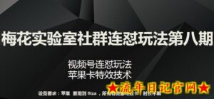 梅花实验室社群连怼玩法第八期,视频号连怼玩法 苹果卡特效技术-流年日记