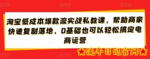 淘宝低成本爆款流实战私教课，帮助商家快速复制落地，0基础也可以轻松搞定电商运营-流年日记