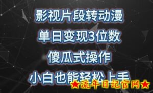 影视片段转动漫,单日变现3位数,暴力涨粉,傻瓜式操作,小白也能轻松上手-流年日记