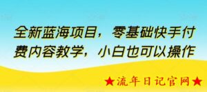 全新蓝海项目，零基础快手付费内容教学，小白也可以操作-流年日记