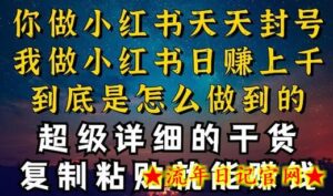 都知道小红书能引流私域变现，可为什么我能一天引流几十人变现上千，但你却频频封号违规被限流-流年日记