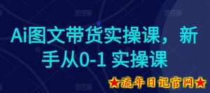 Ai图文带货实操课，新手从0-1 实操课-流年日记