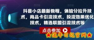 抖音小店最新教程,体验分拉升技术,商品卡引流技术,投流效果优化技术,精选联盟引流技术等-流年日记