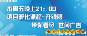 4.26日内部回放课程《项目孵化-开钱眼》赚钱的底层逻辑-流年日记