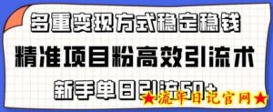 精准项目粉高效引流术,新手单日引流50+,多重变现方式稳定赚钱-流年日记