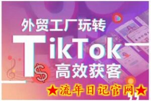外贸工厂玩转TikTok高效获客,多种引流方式与账号定位技巧,拆解爆款短视频打造成功案例-流年日记