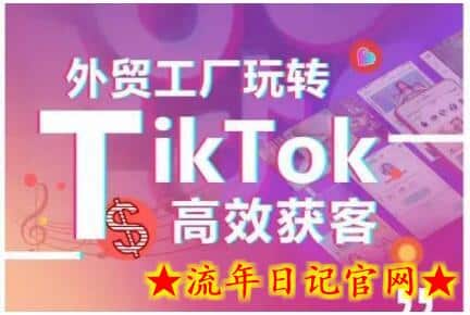 外贸工厂玩转TikTok高效获客，多种引流方式与账号定位技巧，拆解爆款短视频打造成功案例-流年日记