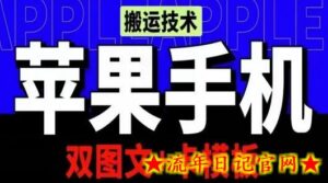抖音苹果手机搬运技术:双图文+卡模板,会员实测千万播放-流年日记